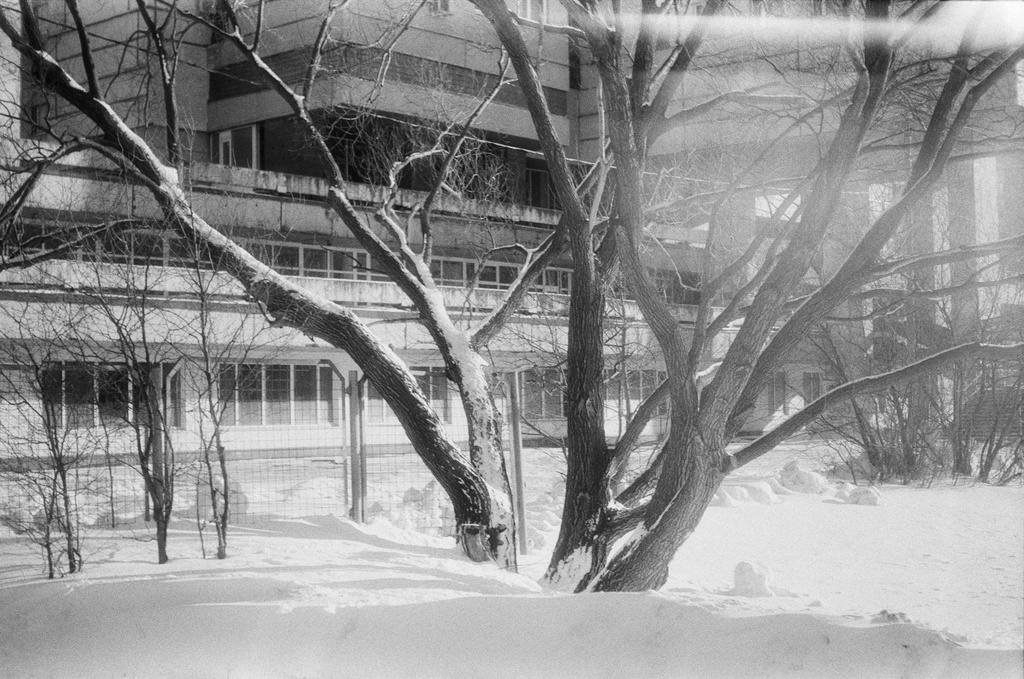 Black and white photo of a building in winter with a tree in the foreground and the ground is covered in snow.