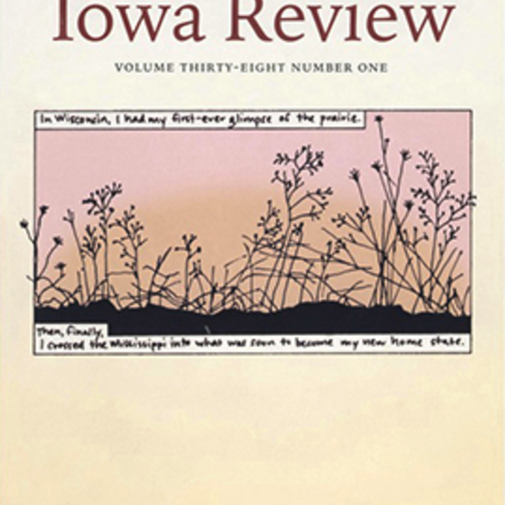 cover of iowa review
